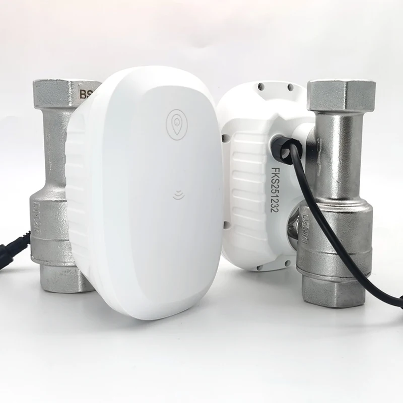 Válvula de Agua con Control In - Home Assistant Tuya reseña y precio